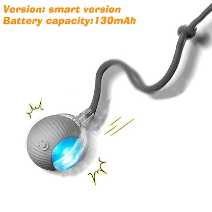 Smart Rolling Dog Ball Toy – Rechargeable Interactive Chase Ball