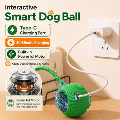 Smart Rolling Dog Ball Toy – Rechargeable Interactive Chase Ball