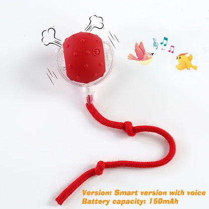 Smart Rolling Dog Ball Toy – Rechargeable Interactive Chase Ball