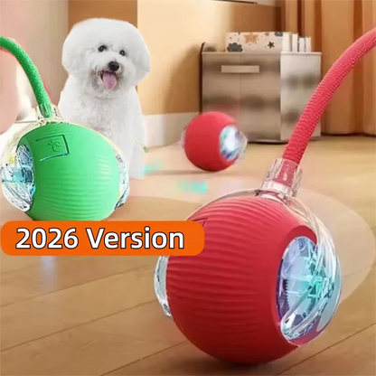Smart Rolling Dog Ball Toy – Rechargeable Interactive Chase Ball