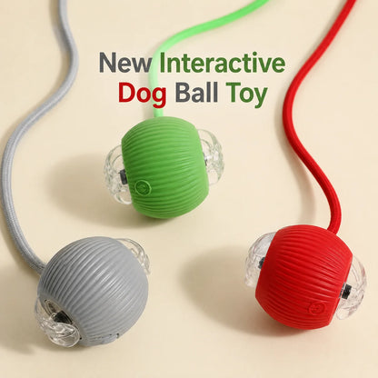 Smart Rolling Dog Ball Toy – Rechargeable Interactive Chase Ball