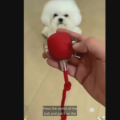 Smart Rolling Dog Ball Toy – Rechargeable Interactive Chase Ball